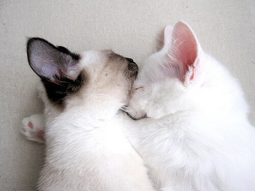 NBA赛季投篮效率分析,本赛季投篮能力