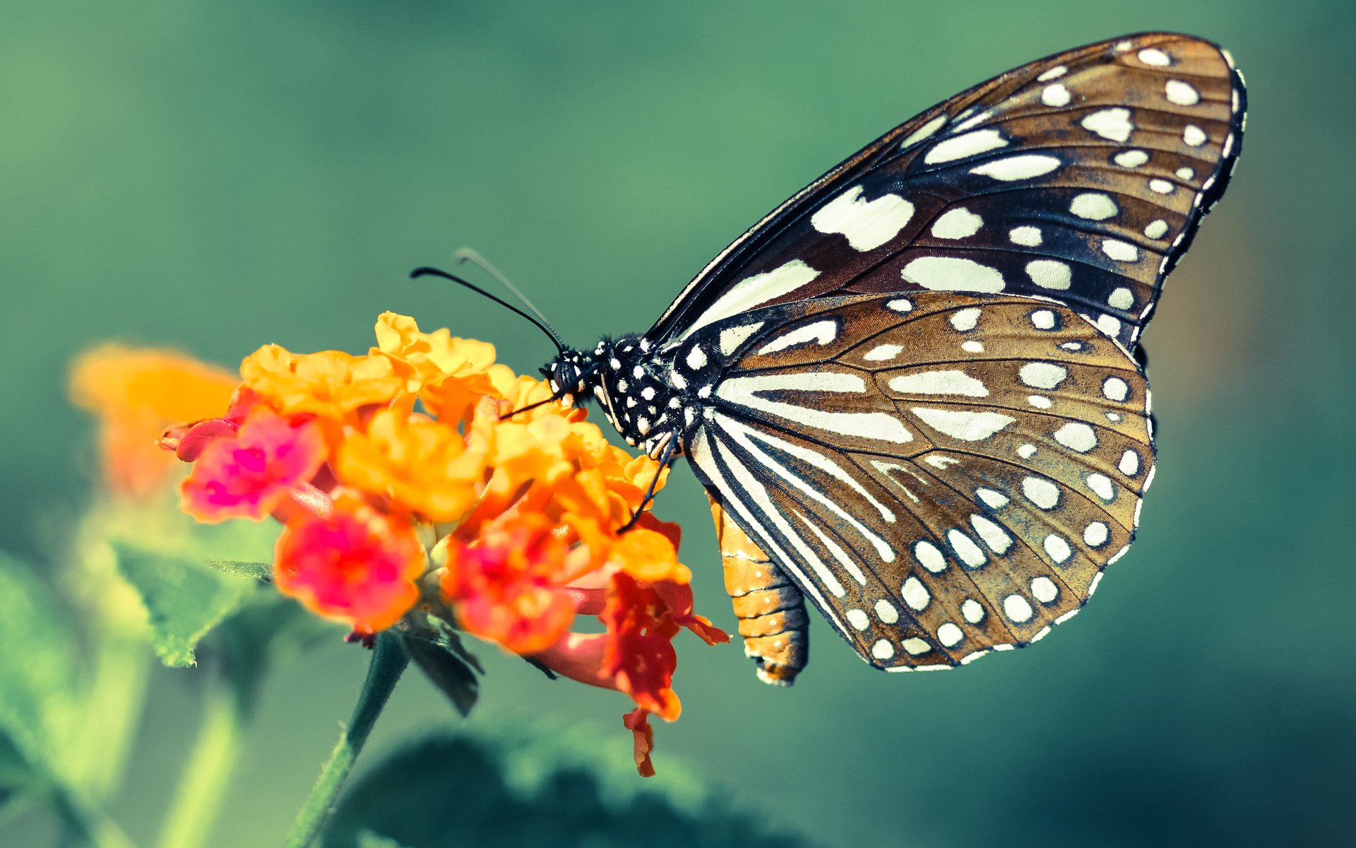 中国足球职业联赛推进球员场外行为规范，足球场人员