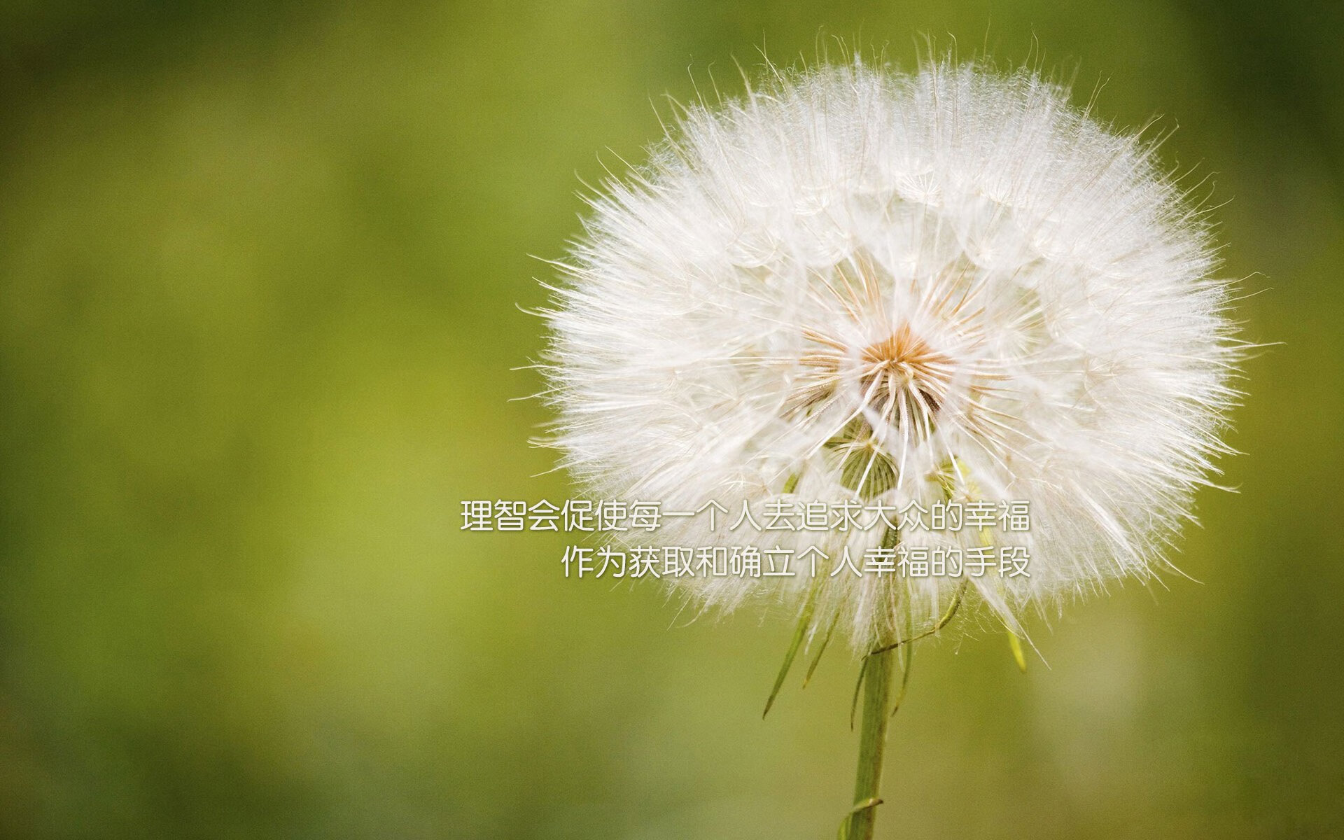 林丹参观羽毛球博物馆引发回忆,林丹羽毛球简介