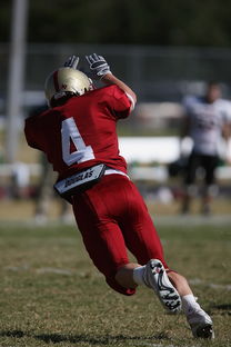 校园足球支持学生裁判项目拓展多元职业通路，普通高校足球专业学生裁判能力的培养